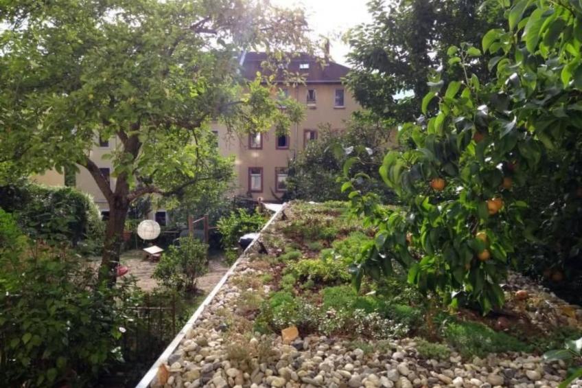 Apfeltraum - foto 12