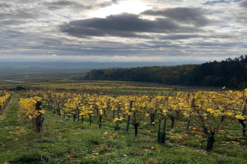 Magnifique Appartement Alsacien - foto 35