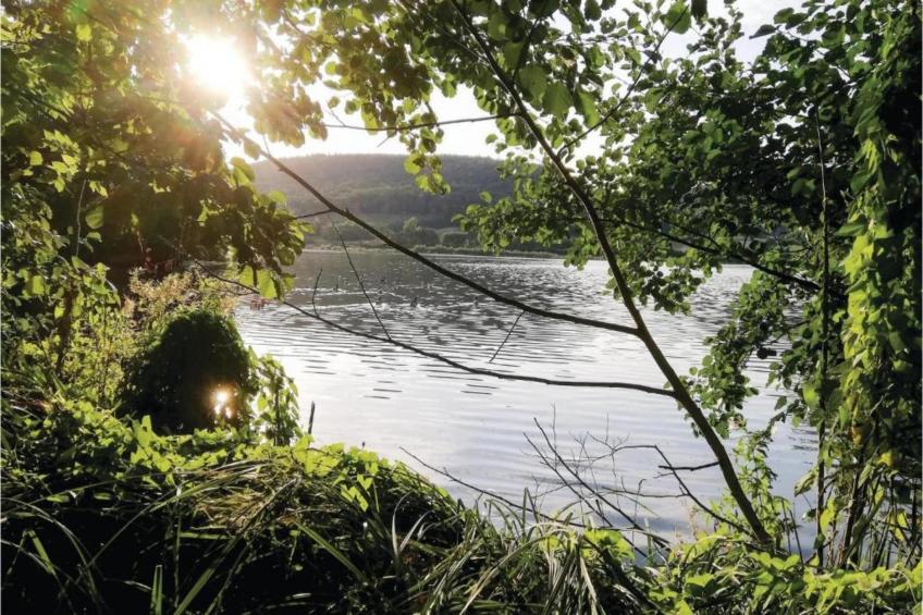 Im Teutoburger Wald - foto 28