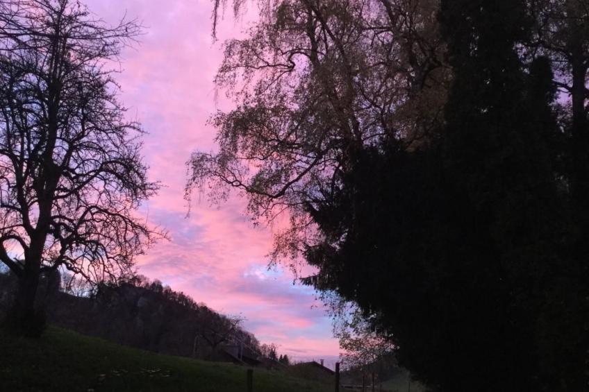 Hof unterer Dürrenberg / Langenbruck - foto 14