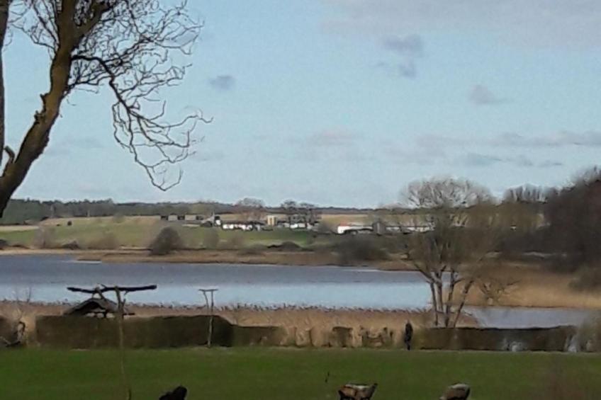 am See in Blankensee-Groß Schönfeld - foto 13