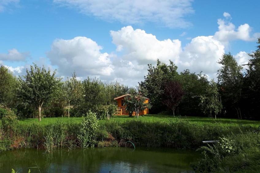 Sonnige Ferienwohnung in ländlicher Umgebung - foto 25