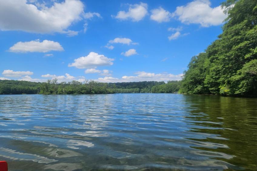 Premium Twin - foto 29