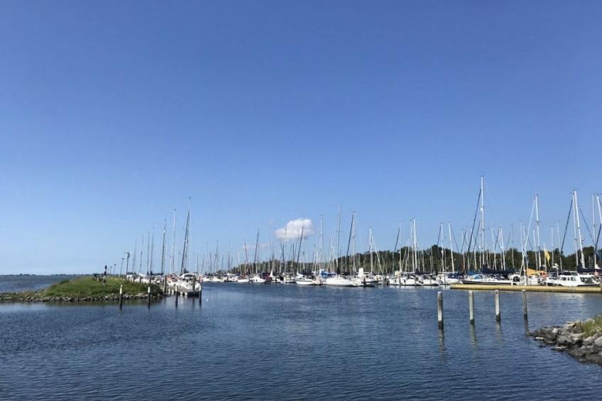 242655 - foto 27