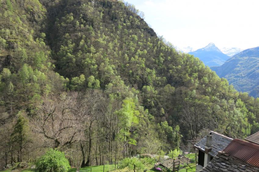 Casa Diego (MVA114) - foto 25