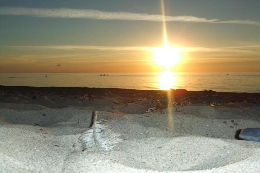 Ferienwohnung Albatross - strandnaher Urlaub Ostseebad Rerik - foto 33