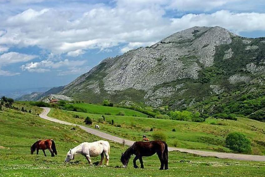 Ländliches Haus La Carrozal Senda del Oso - foto 7