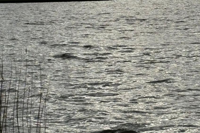 Chalet in Strandnähe - foto 19