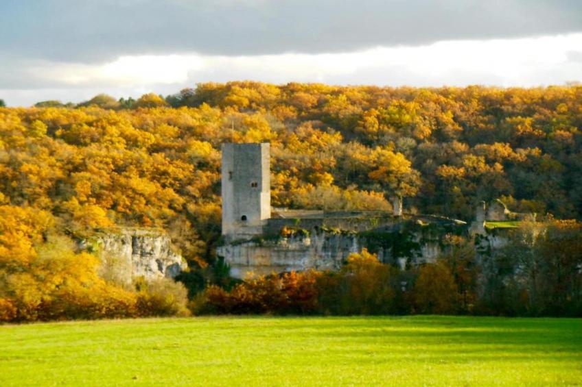 Domaine de Gavaudun - Le gîte Vezou - foto 28