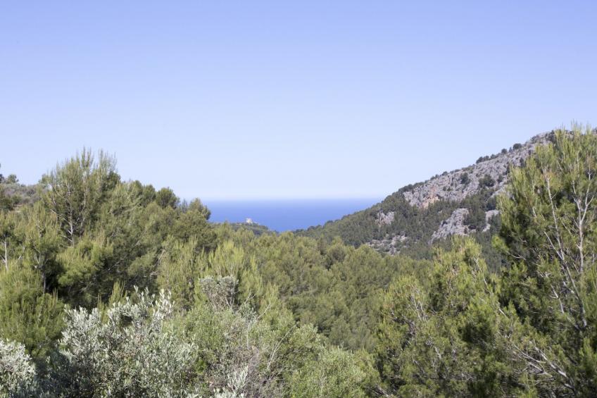 VILLA ES COCO SOLLER - foto 41