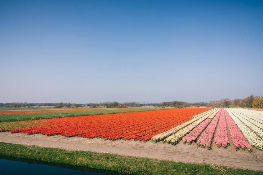 Duinresort Dunimar 3 - foto 24