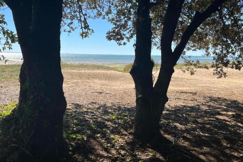 Rêve d'île - foto 31