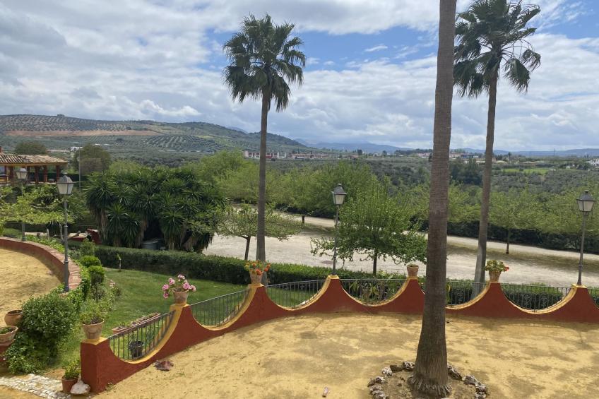 Dehesa del Colmenar - foto 18