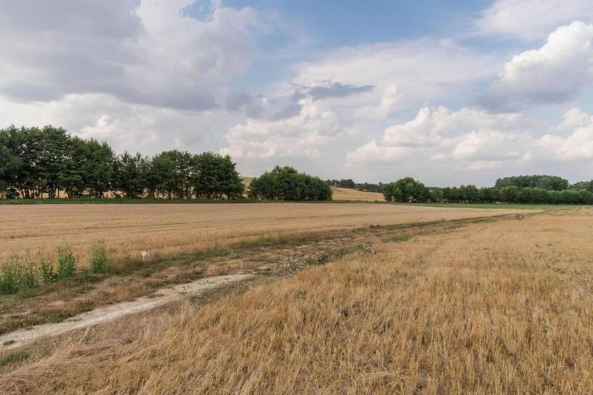 La Campagne - foto 35