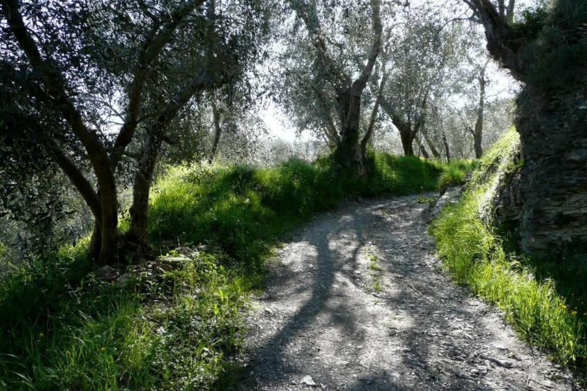 CASA SISSI, Sehnsuchtsort zwischen Olivenhainen - foto 16