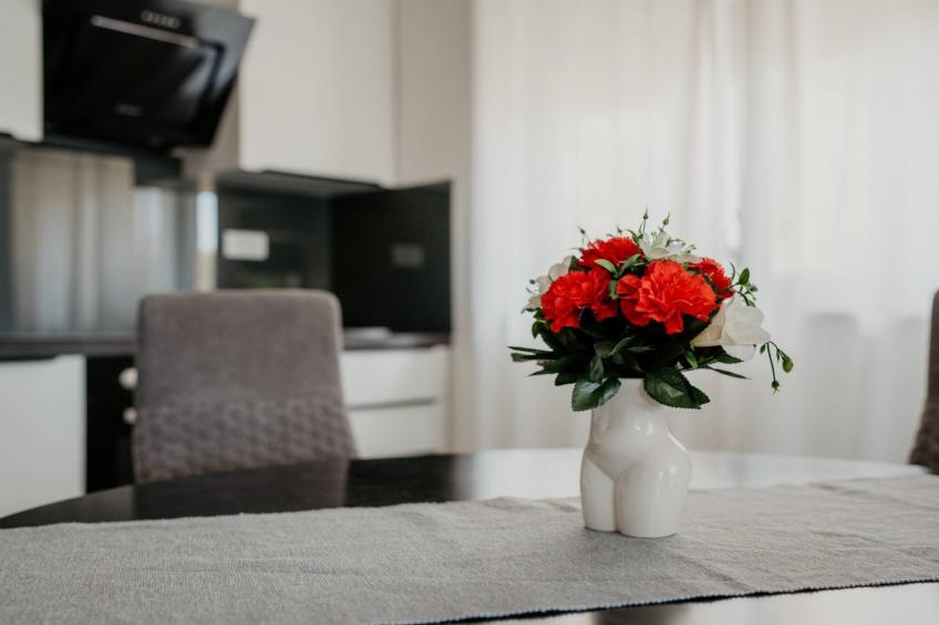 Modern Seget Vranjica Apartment with Terrace - Two Bedroom Apartment with Terrace - foto 9