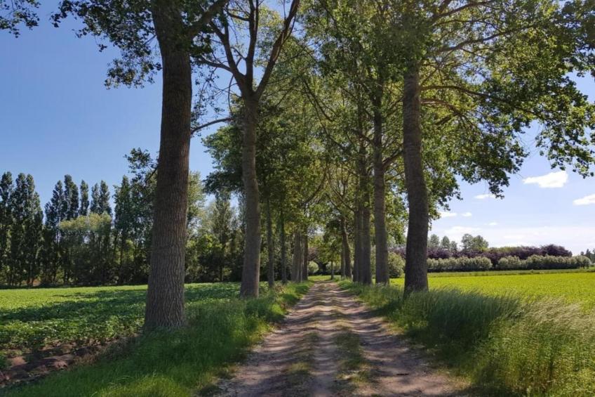 Casteeldoorn - foto 21