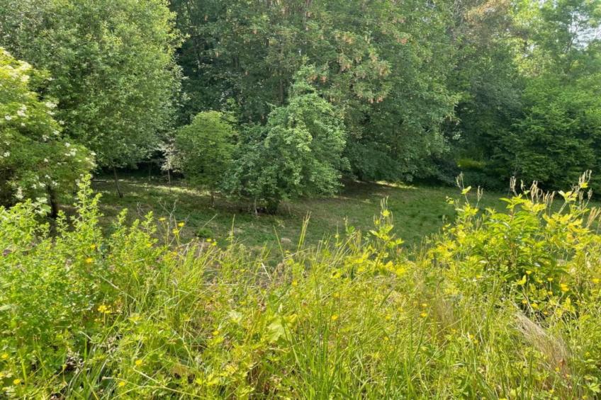 Les Tropiques - foto 32