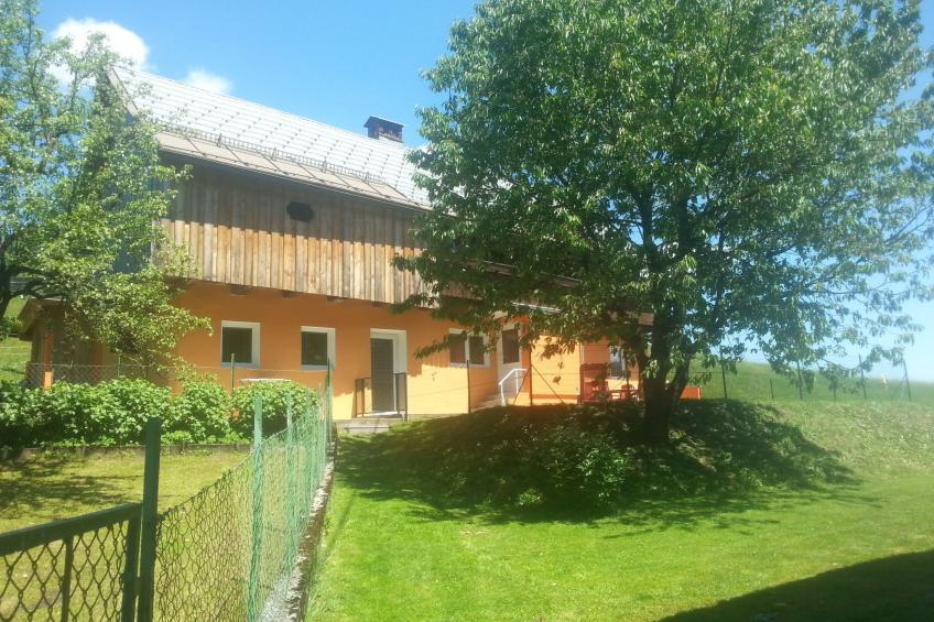 Johanna in Dreulach - foto 2