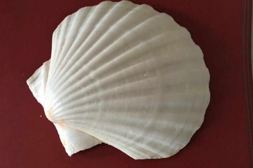 Fischerhus LüttHauke - foto 18