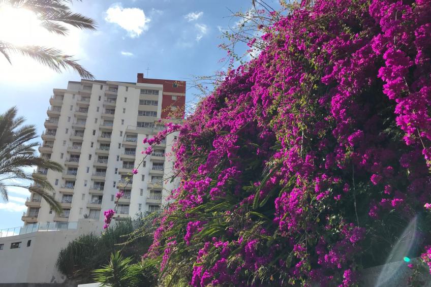 mit Blick auf das Wasser - foto 10