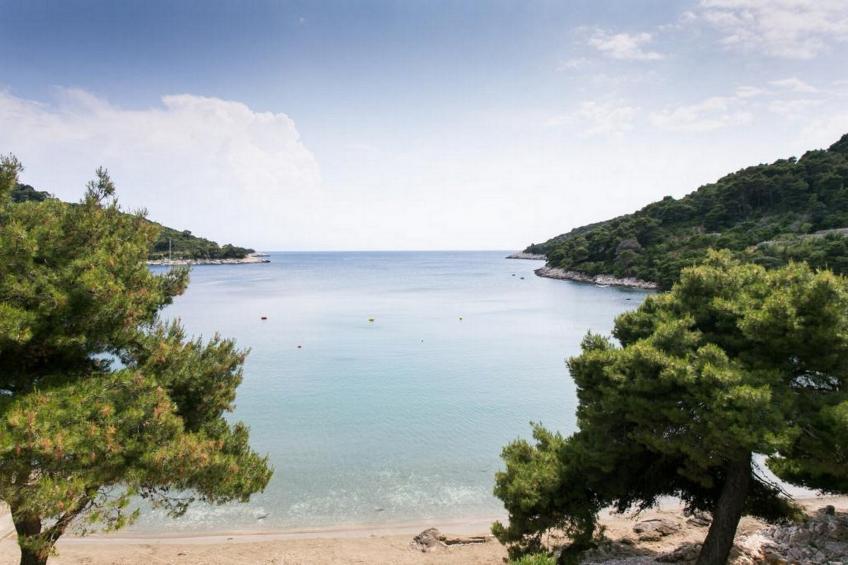 Apartments Franka Saplunara-One-Bedroom Apartment with Terrace and Sea View No1 - foto 6