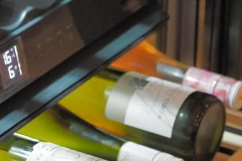 Exklusives Ferienhaus mit Terrasse und Garten - foto 7