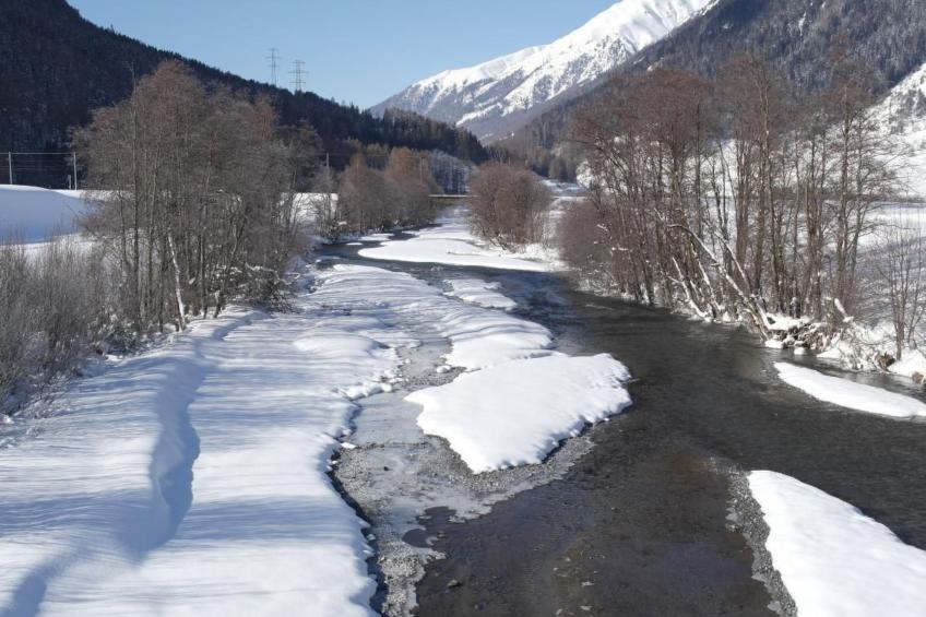 Ers Curtins - foto 20