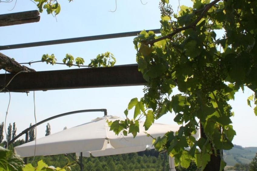 Anwesen mit Gemeinschaftspool - foto 6