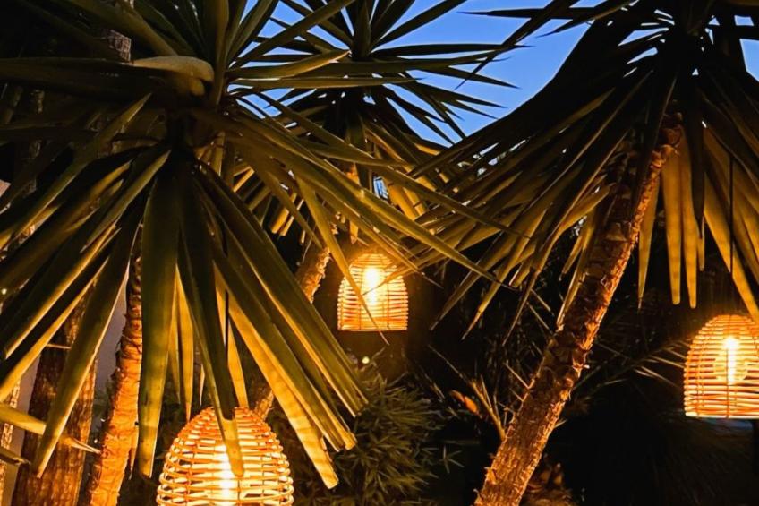 Tarabucetta - foto 27