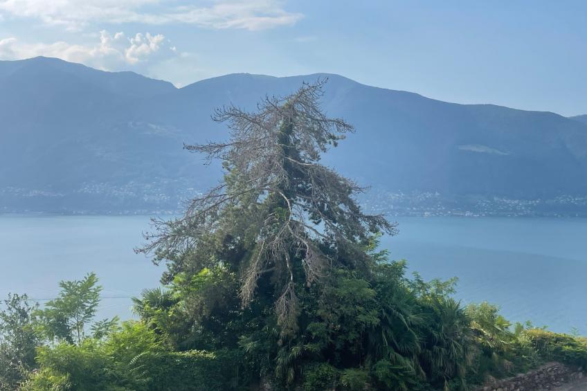 Casa Giovanna - foto 15