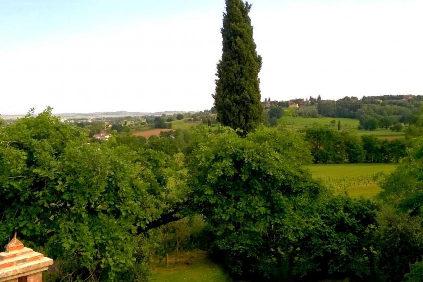 Haus in Marciano mit privatem Parkplatz - foto 13