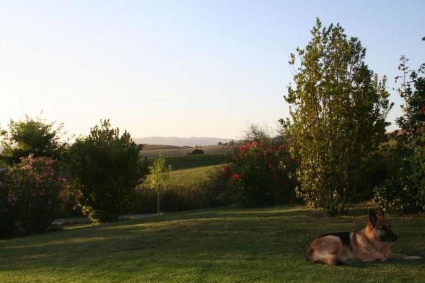 Haus in Manciano mit Terrasse, Garten und Grill - foto 34