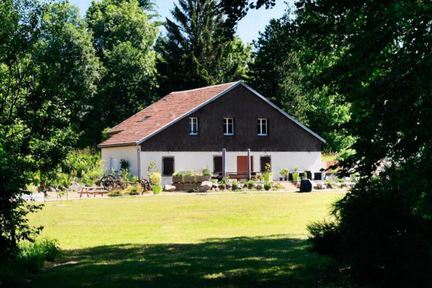 Maison de Vacances Saulxures-sur-Moselotte 8