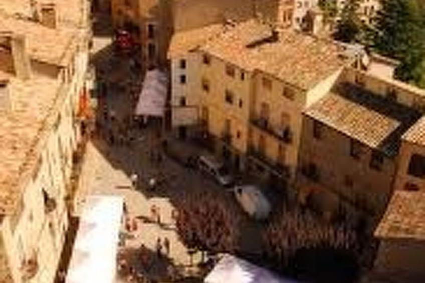 Appartement 'Borredà' mit Kaminofen - foto 50