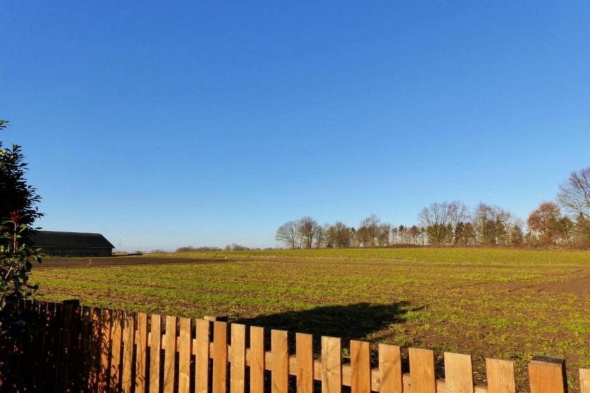 Buitenhof De Leistert - foto 26