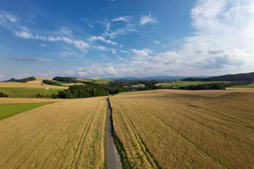 Dolina Bobru - foto 24