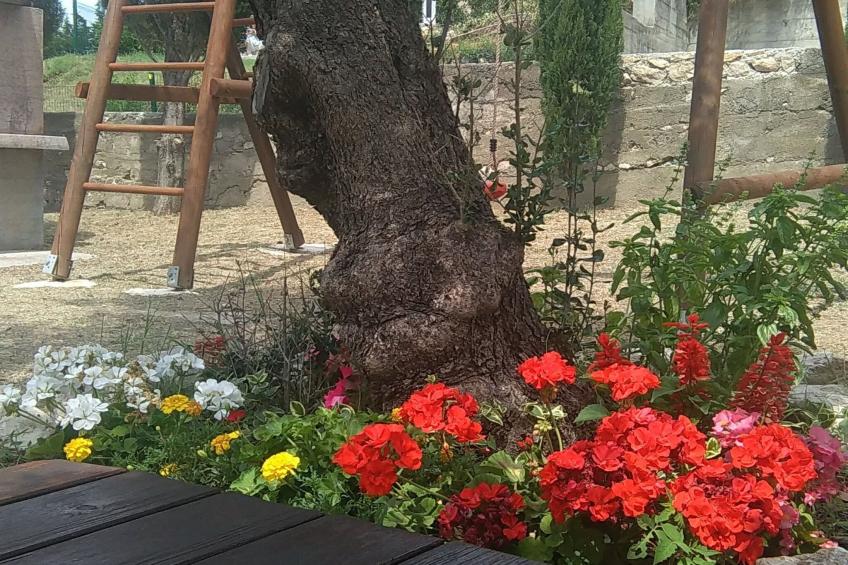 Apartments Danijela & Vlado - One Bedroom Apartment with Balcony and  Garden View - foto 10