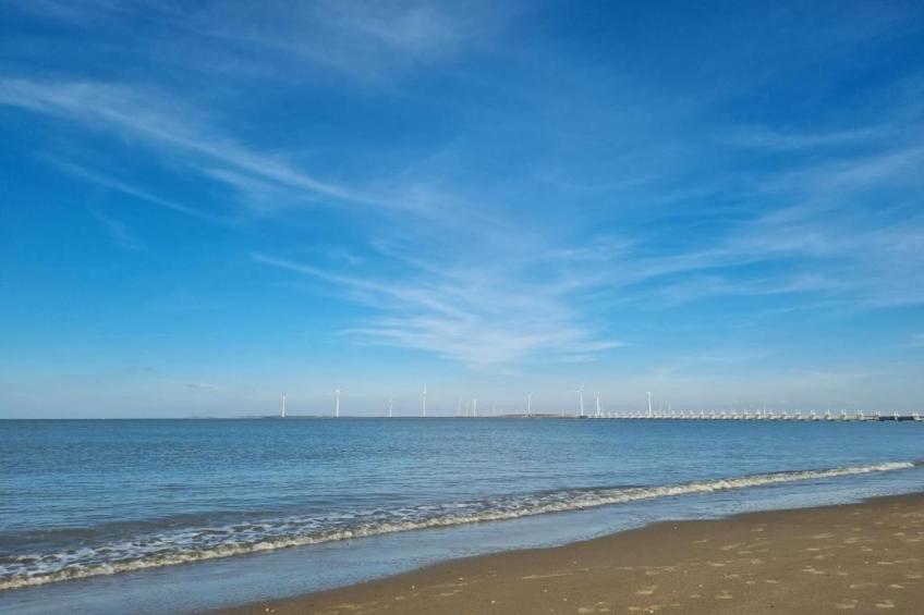 Park Veerse Kreek 1 - foto 34