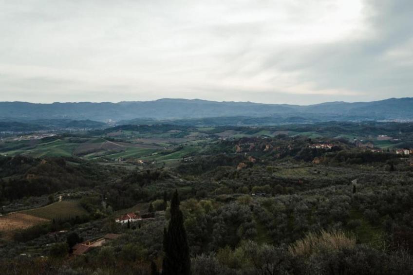 Podere Pulicciano Scaletta - foto 37