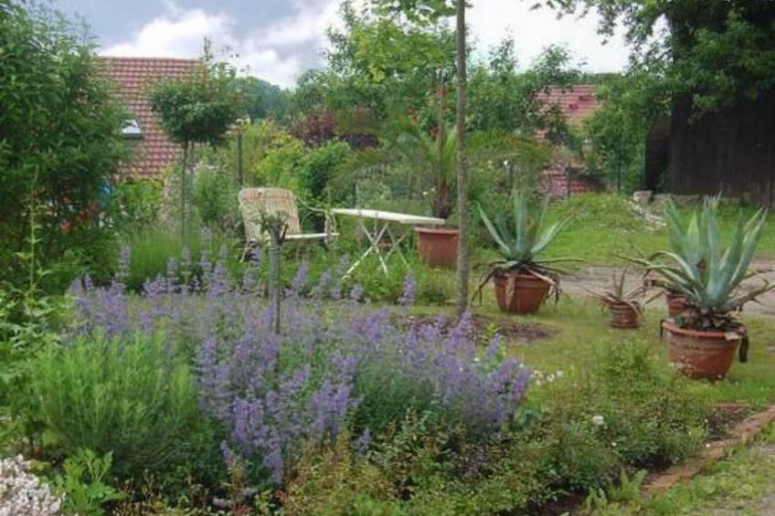 Fewo Altes Schulhaus - foto 18