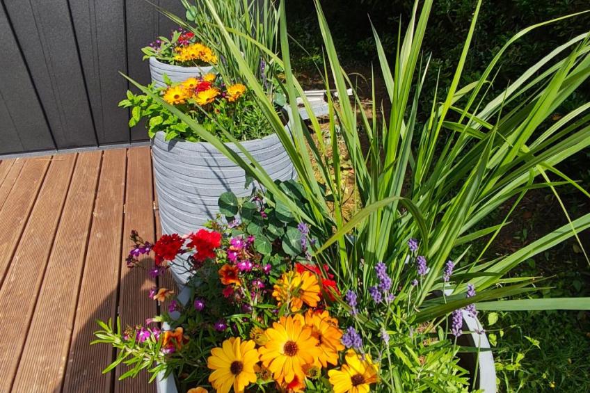 Tiny House Sundancer - foto 16