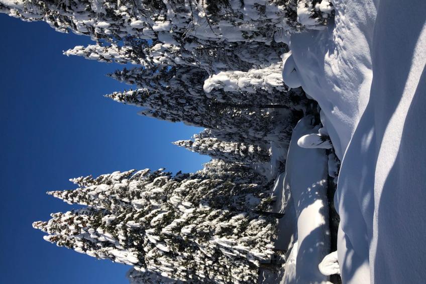 Sunny retreat - foto 21