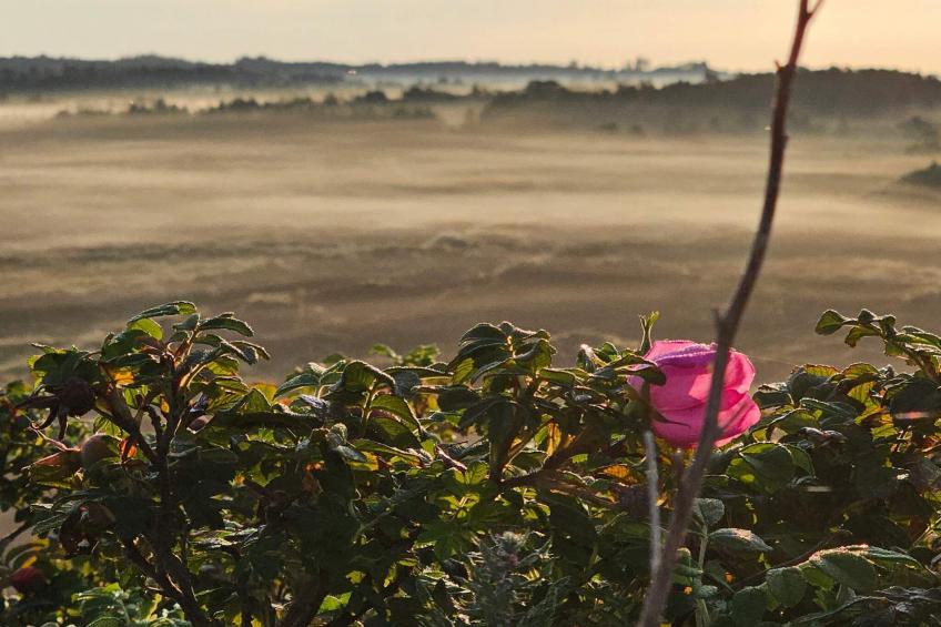 MOTEL UDSIGTEN - foto 4