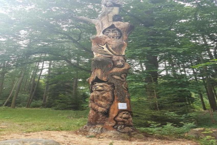 Apartament Nemojov B - foto 25