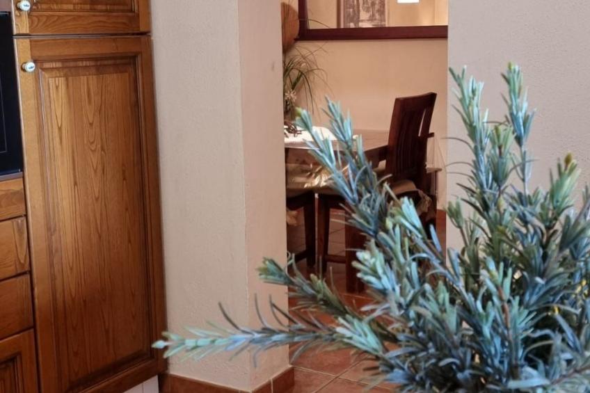 mit Kamin, Terrasse und Meerblick - foto 28