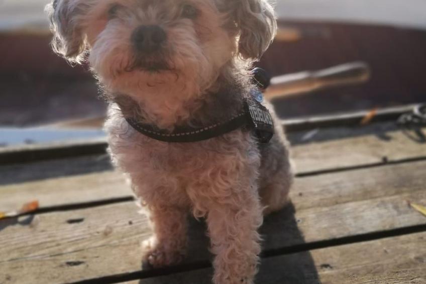 Ferienhaus - foto 41