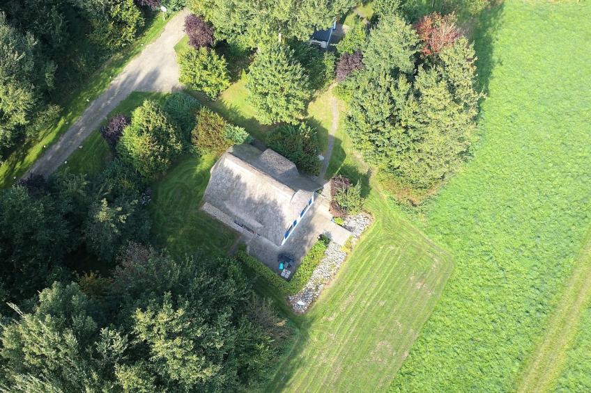 Haus-Zauberblau - foto 20