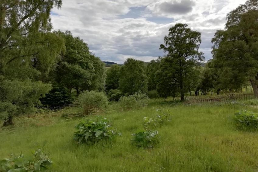 The Bakers Hut - foto 13