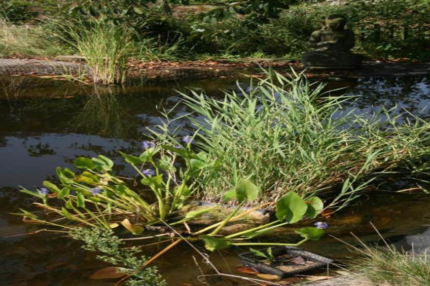 La Maison du Cocher - foto 37